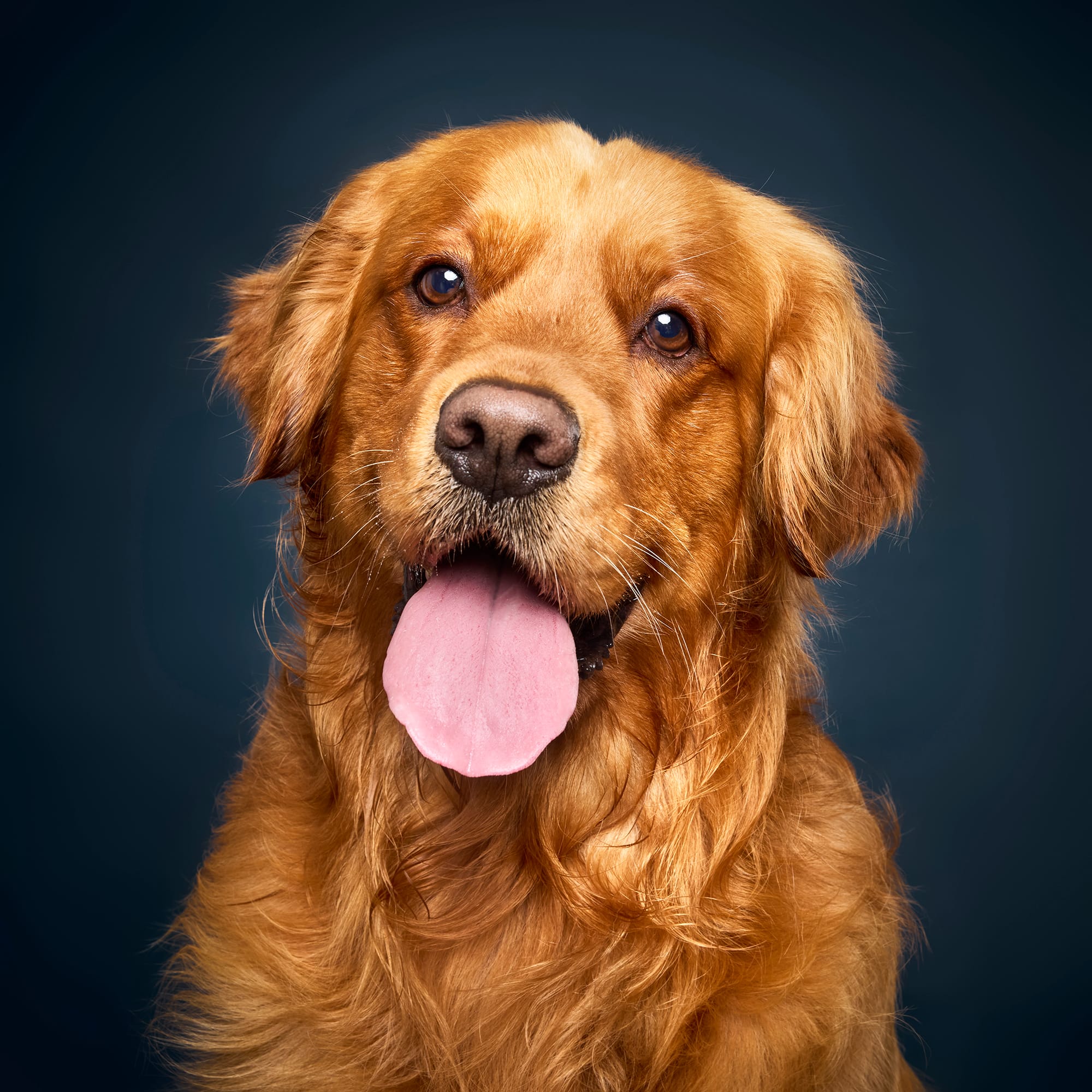 Rosco-1